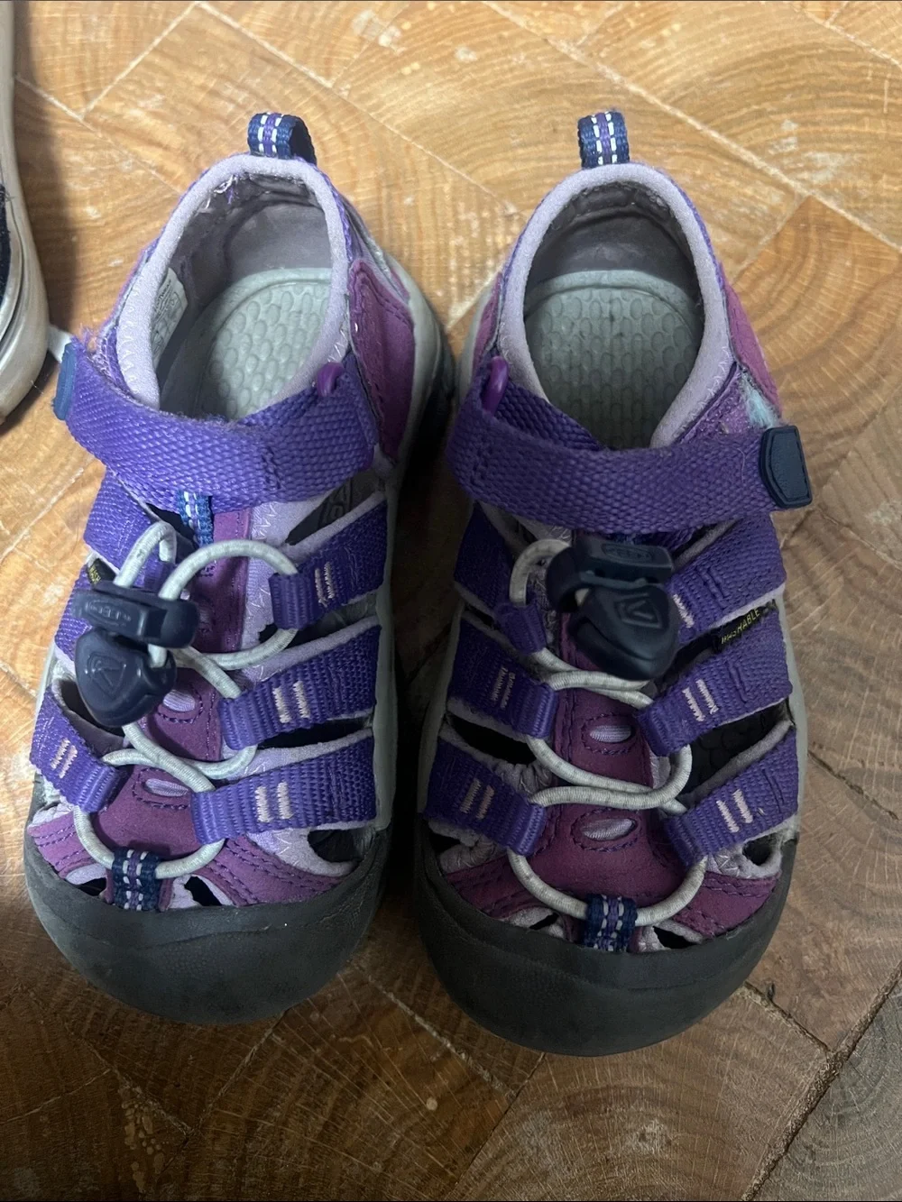 Keen Kids Purple & Lavender Closed-Toe Water Shoes with Bungee